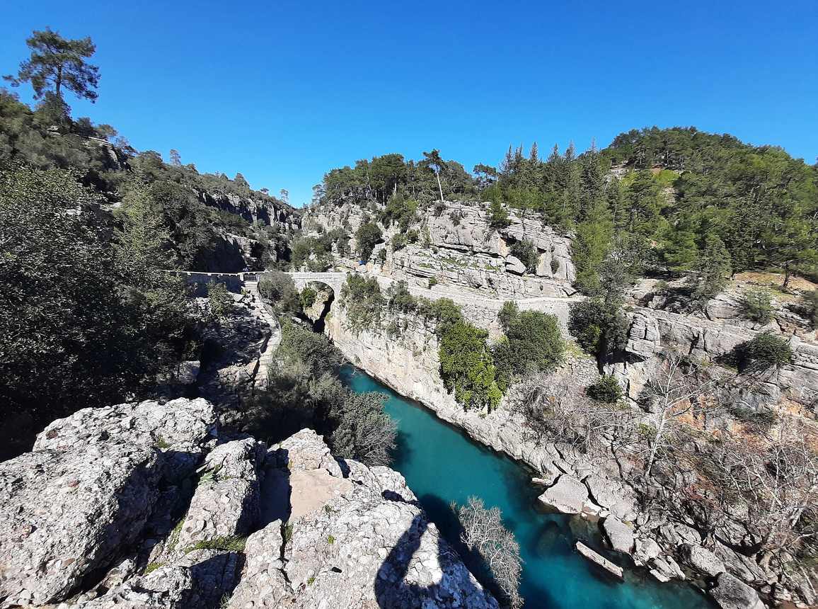 Endemic cypress forest lining the walls of Köprülü Canyon National Park