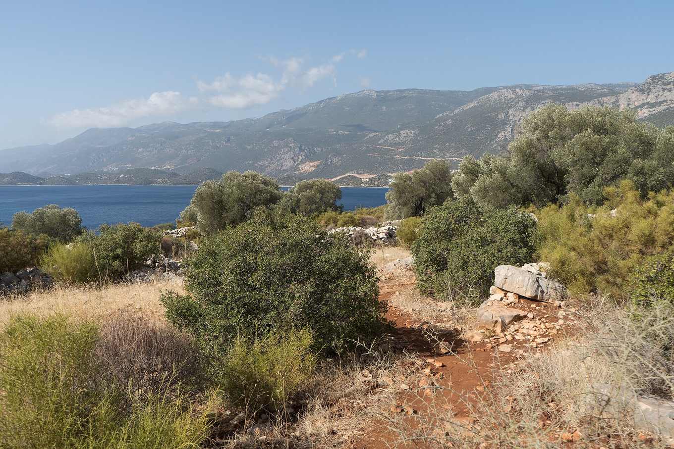 Spring wildflowers along the Lycian Way trail near the Mediterranean coast