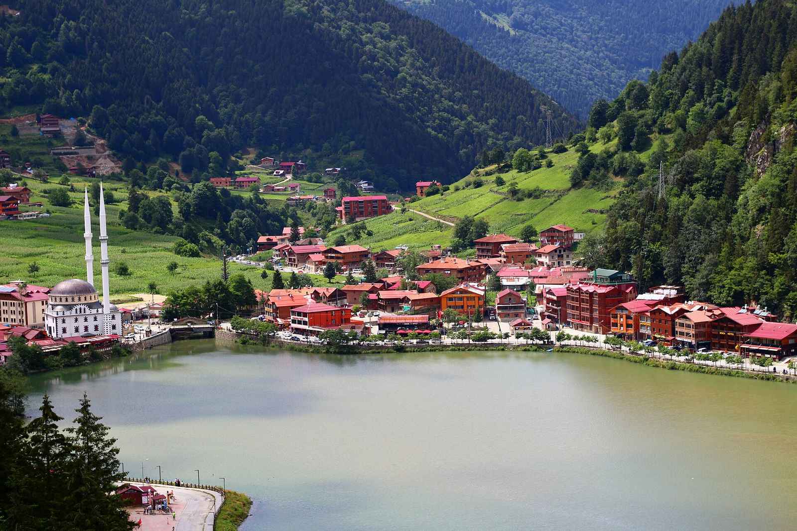 Misty morning view over Uzungöl lake with the forested valley slopes in the background